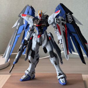 Freedom Gundam MG 1/100 - Custom Painted Finished Model